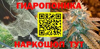 кристаллы Краснознаменск