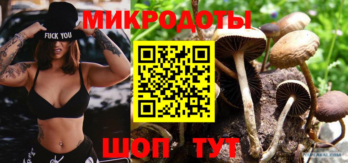 Галлюциногенные грибы Psilocybine cubensis  Галлюциногенные грибы ЛСД  Армавир  Вход с VPN 